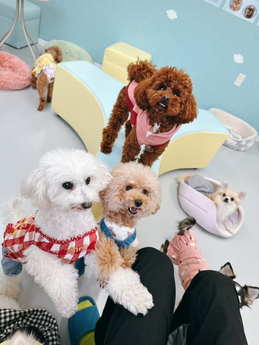 就労継続支援B型事業所 ANELLA CAFÉ 福岡大濠（サービス管理責任者の求人）の写真6枚目：