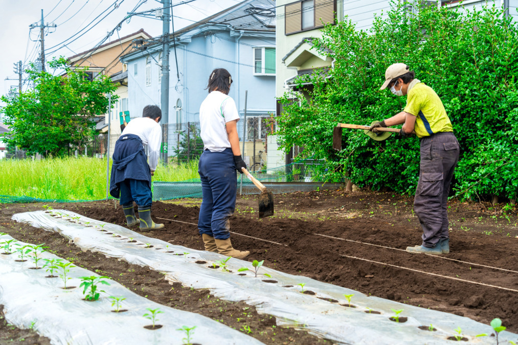 たしざん福祉作業所　大泉学園駅前（生活支援員の求人）の写真7枚目：