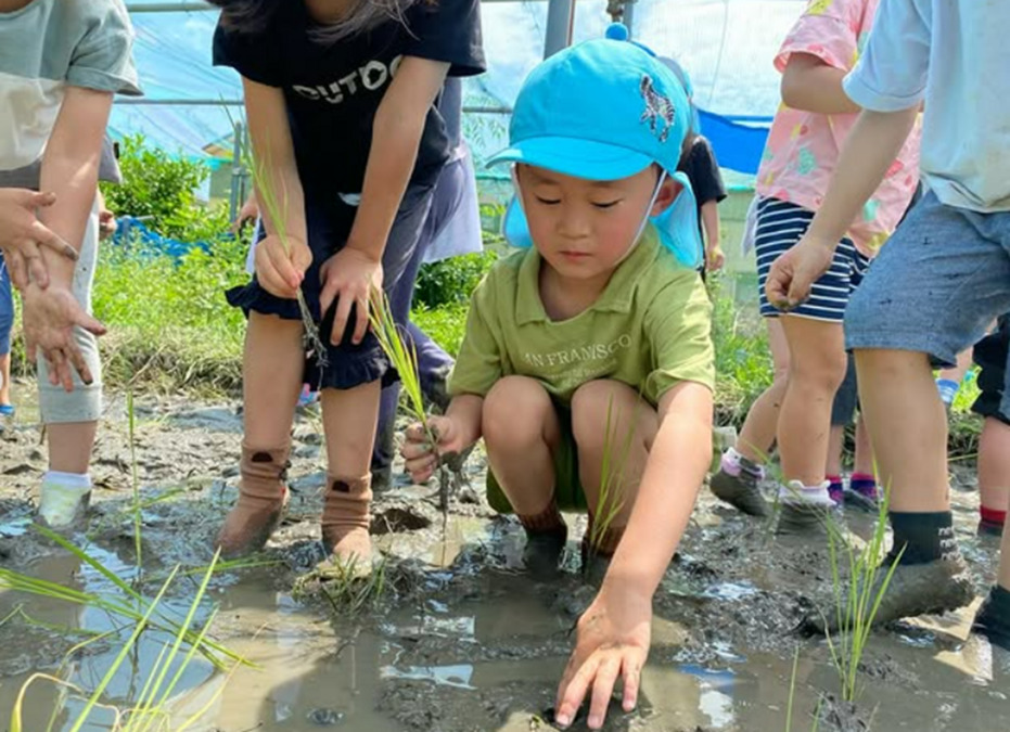 神田保育園（管理栄養士/栄養士の求人）の写真3枚目：わくわく農園へ田植え　田んぼに行くと、かえる🐸や水の中の生き物に興味津々🤭