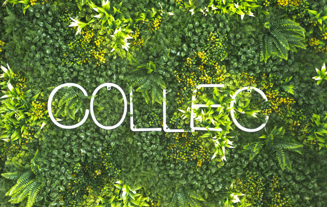 COLLEC... beauty portの写真