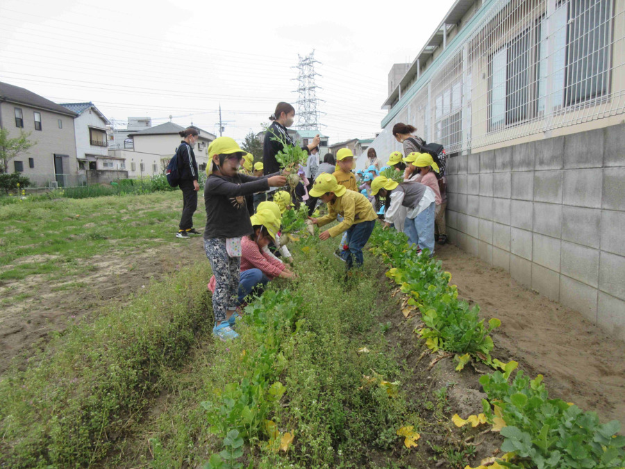 やおぎ保育園（保育士の求人）の写真4枚目：