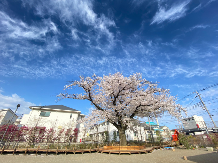 わらべ東久留米保育園の写真4枚目: