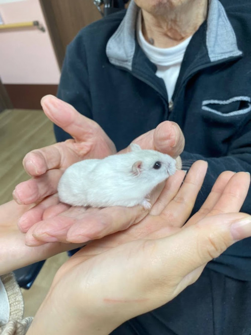 グループホームあかりの家海老名（管理職（介護）の求人）の写真7枚目：