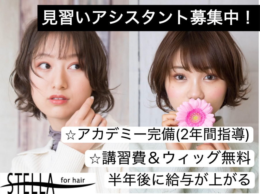 ALBERT ふじみ野店（美容師の求人）の写真2枚目：