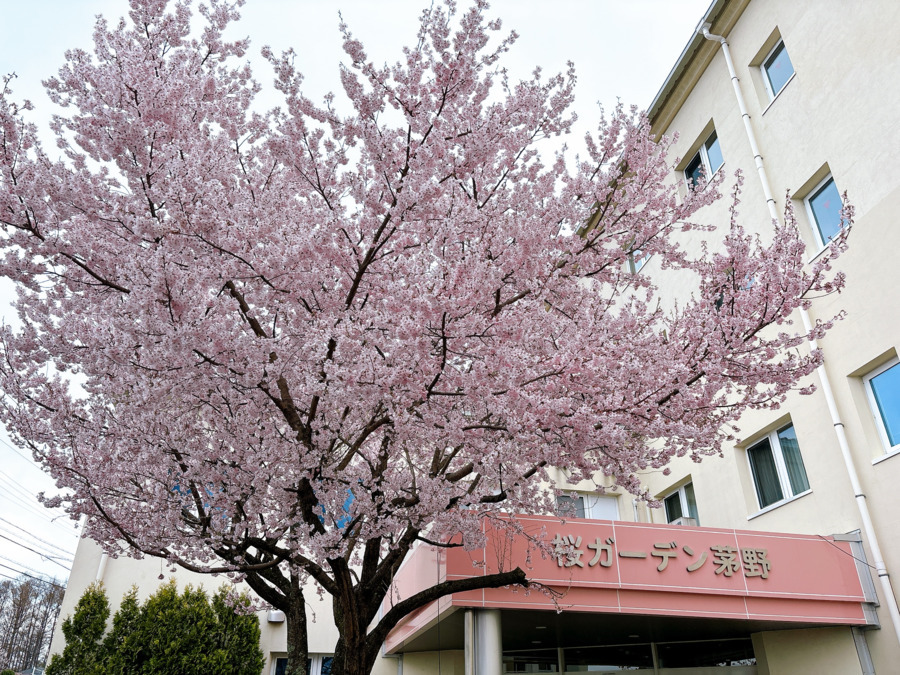桜ガーデン茅野の画像
