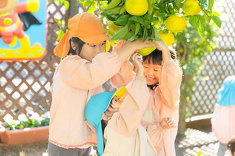 保育園萌夢の画像