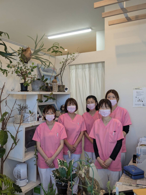 東林間いわた歯科（歯科助手の求人）の写真7枚目：