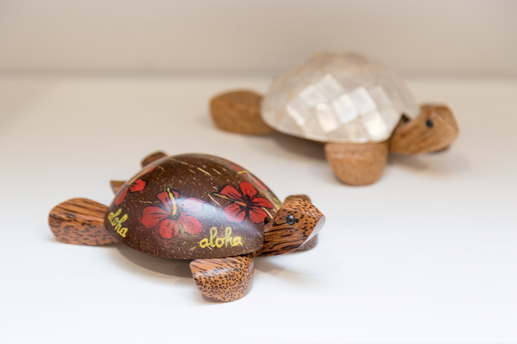 アロハ歯科　小児・矯正歯科クリニック（保育士の求人）の写真6枚目：