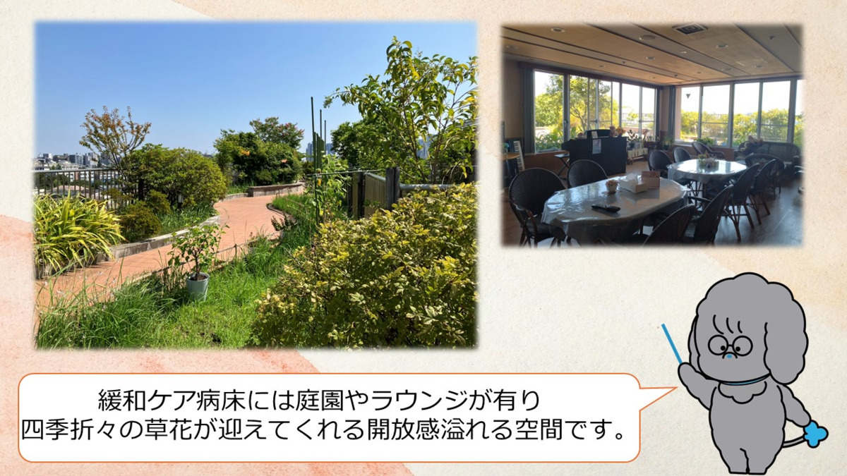 タムス杉並病院【2025年07月01日オープン】（看護師/准看護師の求人）の写真4枚目：