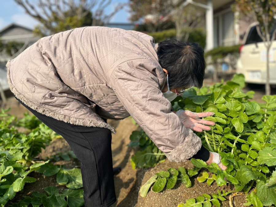 リハデイオレンジ（介護職/ヘルパーの求人）の写真3枚目：