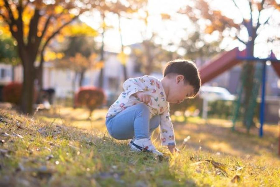 さんさん保育園（保育士の求人）の写真2枚目：