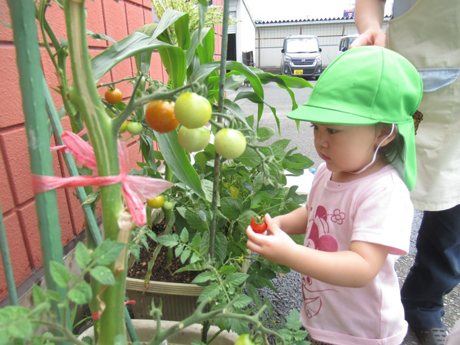 ニチイキッズ佐沼なかえ保育園（保育士の求人）の写真2枚目：