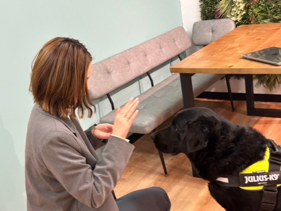 tocotoco株式会社　相談支援事業所【八千代】（仮称）【2026年春オープン予定】の写真3枚目：