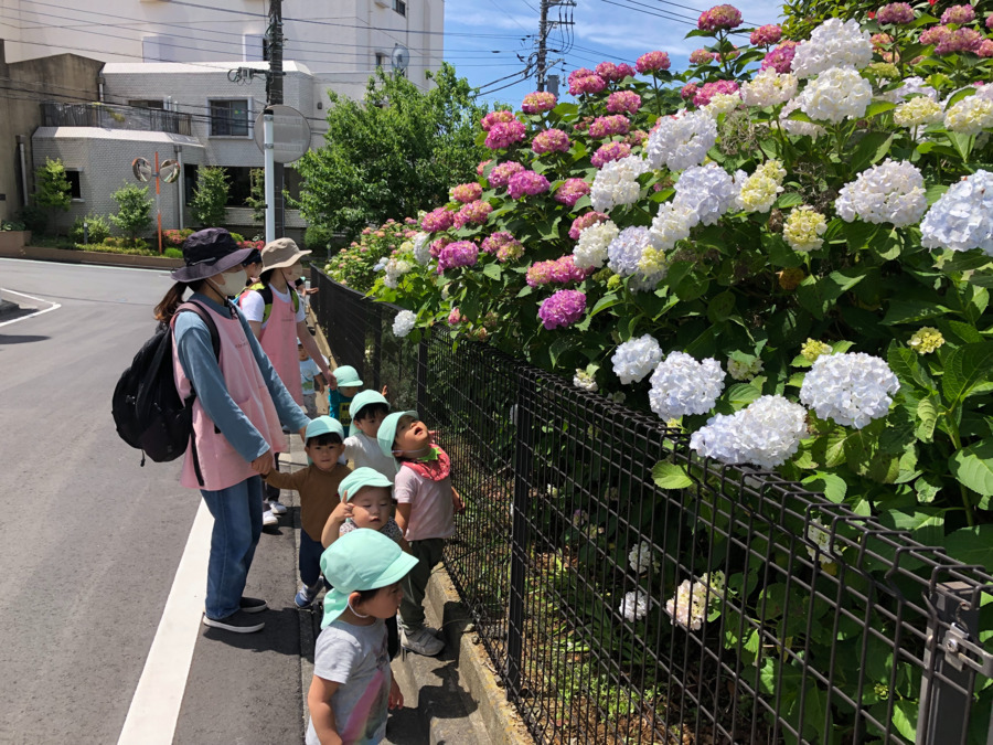 といろきっず美しが丘保育園の写真4枚目：