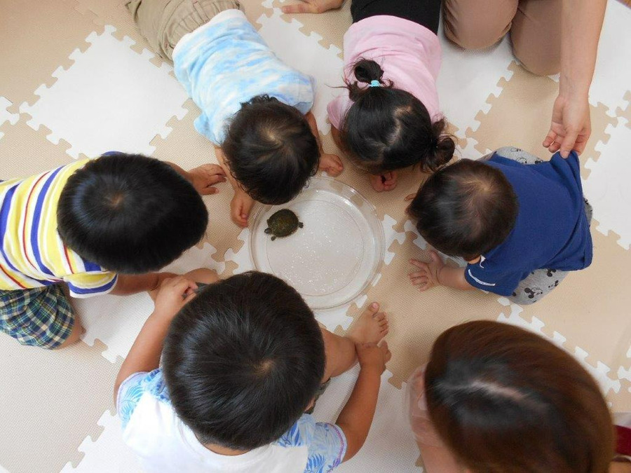 だいいちキッズルーム枚方園の写真6枚目：