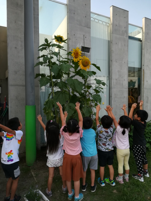 みらい保育園の写真3枚目: