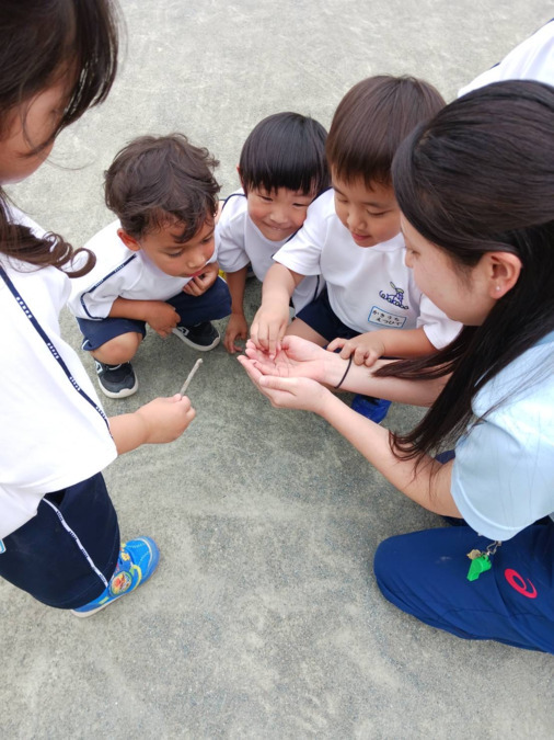 越谷わかば幼稚園（保育士の求人）の写真3枚目：