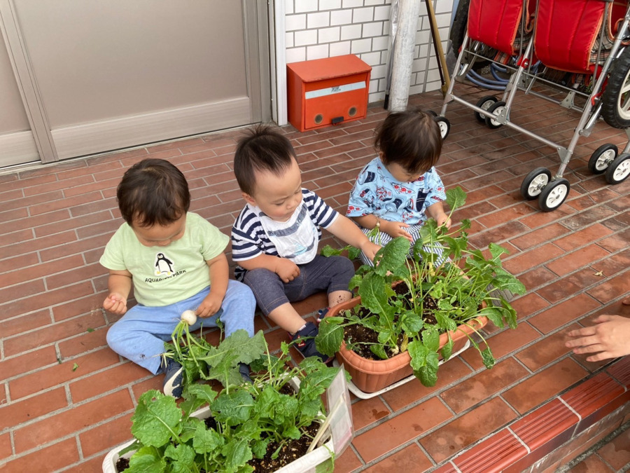 アルページュ保育園 大和田（調理師/調理スタッフの求人）の写真2枚目：