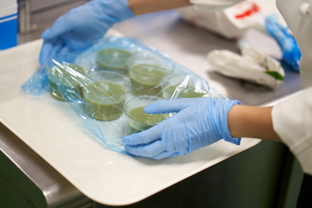 コンパスグループ・ジャパン株式会社 ソニー厚木第1テック2階社員食堂内の厨房(調理師/調理スタッフの求人)の写真4枚目: