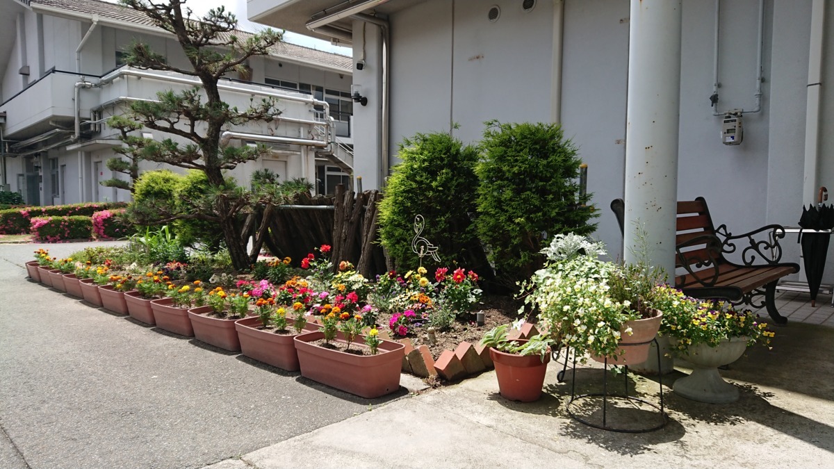 障害者支援施設 三田こぶしの園の写真6枚目：花壇に花が咲きました(^^♪