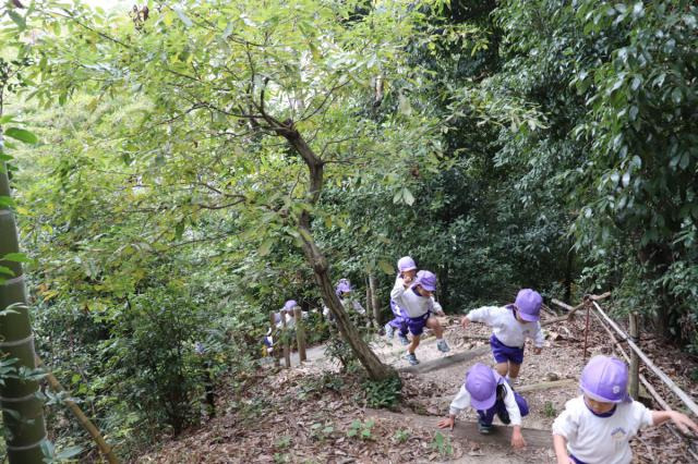 学校法人冨田学園　幼保連携型認定こども園みょうけん幼稚園（幼稚園教諭の求人）の写真4枚目：