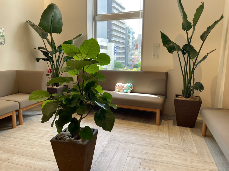 まいにち薬局 千葉中央店（薬剤師の求人）の写真3枚目：まいにち薬局 千葉中央店の内観