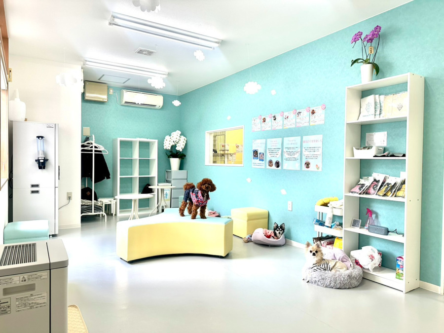 就労継続支援B型事業所 ANELLA CAFÉ 福岡大濠（サービス管理責任者の求人）の写真4枚目：