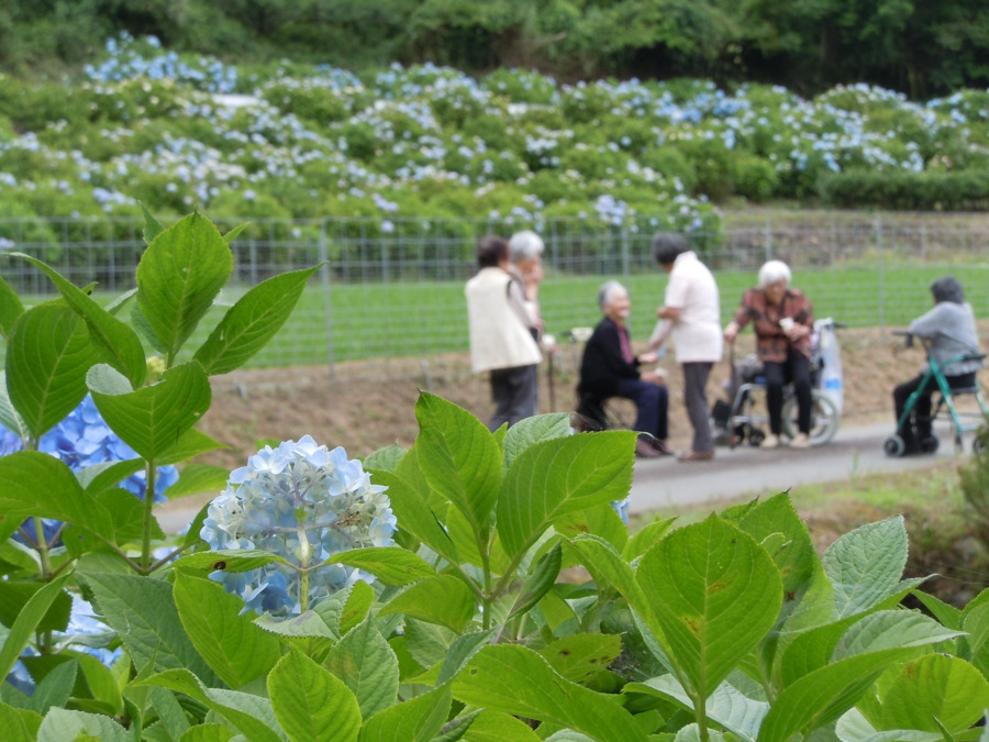 デイサービスセンター希翔会の写真9枚目：