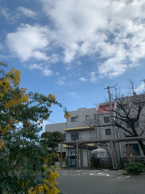 小規模多機能型居宅介護ホームさくらの里の写真11枚目：隣接する経営母体北島内科医院です。
