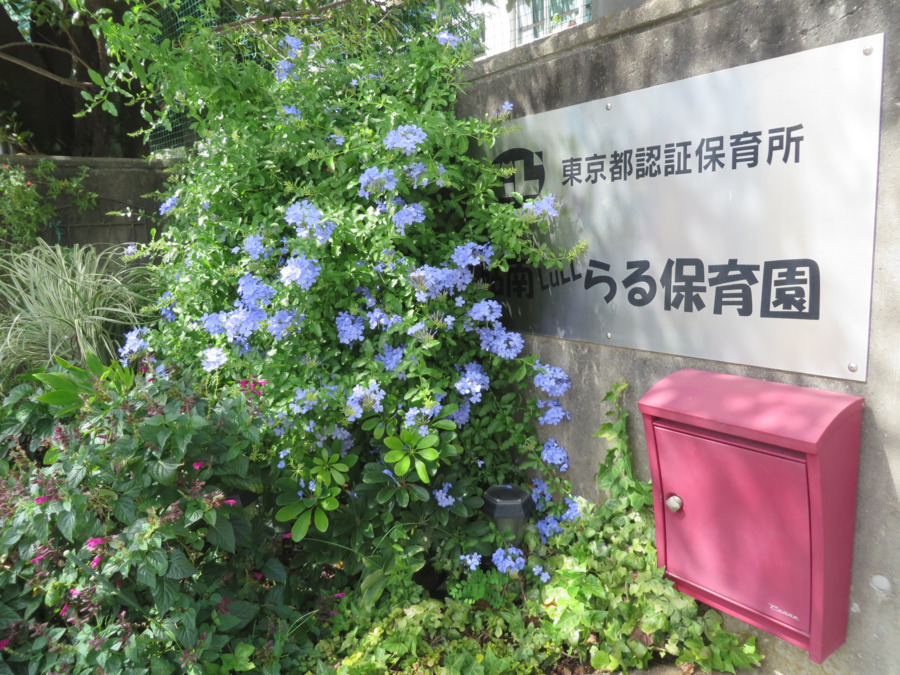 砧南らる保育園の写真3枚目: