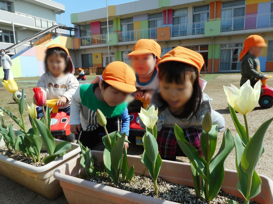 こども園くさべ（幼稚園教諭の求人）の写真5枚目：