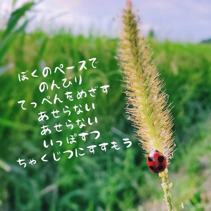 訪問看護ステーション こころのあいの写真