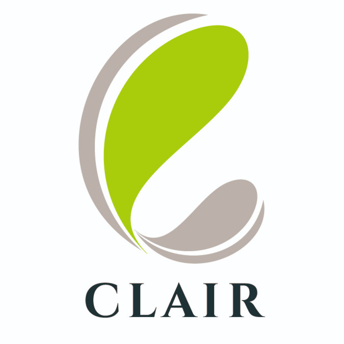 ガーベラの写真4枚目: