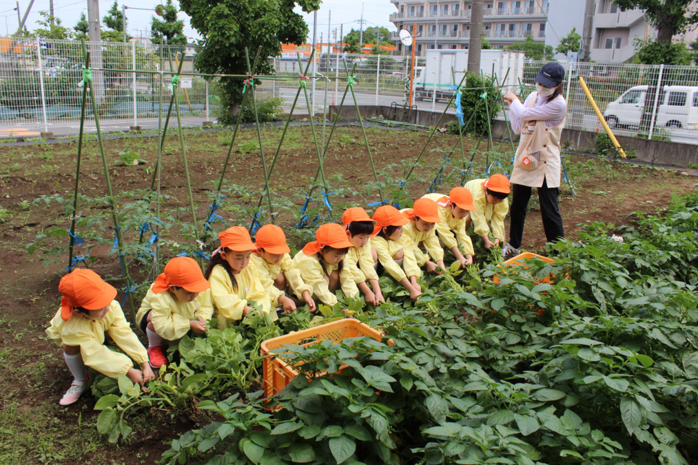 みはし幼稚園(幼稚園教諭の求人)の写真2枚目: