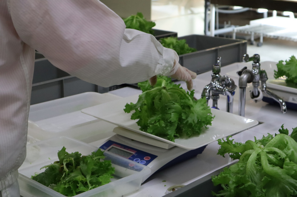 株式会社グッドファーム・グッドファーム大井の写真3枚目: