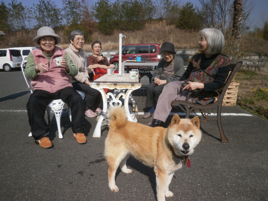 グループホームまきびの丘の写真4枚目：看板犬リリィーは入居者の皆さんのアイドル♪
