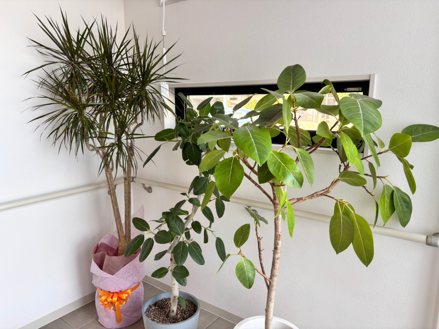 ラプレ市川【2025年05月オープン】(介護職/ヘルパーの求人)の写真2枚目: