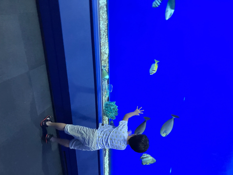 児童発達支援放課後等デイサービス　トラスト（児童指導員/指導員の求人）の写真3枚目：