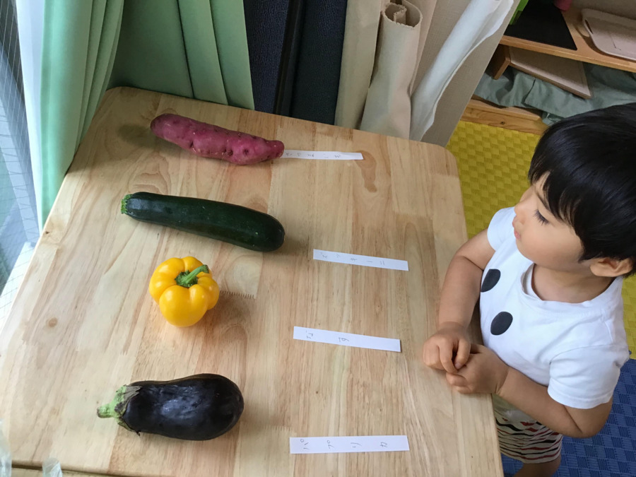 オデューラ デ アベニールの写真8枚目：モンテッソーリならではの本物の野菜を使った活動です♪触ったり香りを確かめます♬