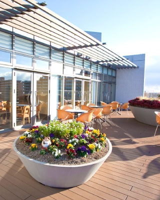 東京湾岸リハビリテーション病院(薬剤師の求人)の写真9枚目:東京湾岸リハビリテーション病院の屋上庭園