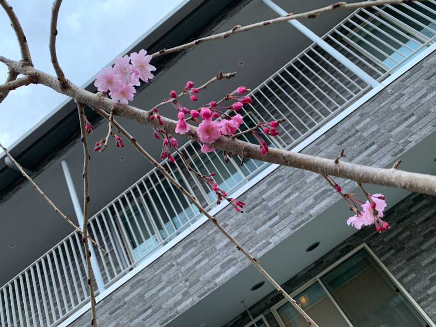 なぎさ川口宮町保育園の写真26枚目：