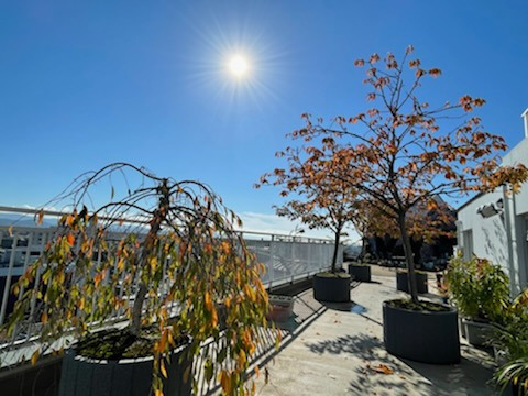 介護老人保健施設リーベン嵯峨野（介護職/ヘルパーの求人）の写真13枚目：