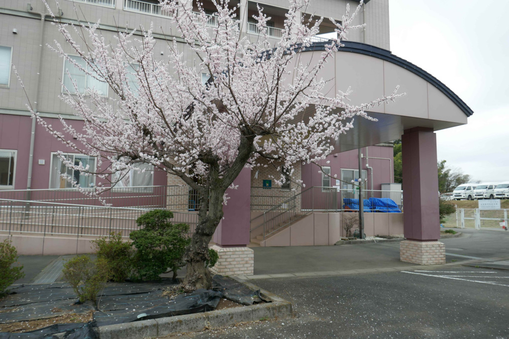 ころぽっくる第二保育園の写真