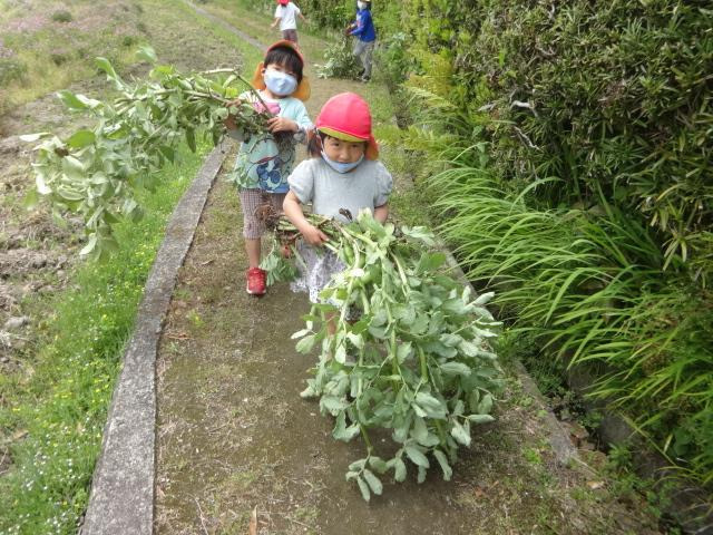 学校法人日下学園　西円寺幼稚園の写真4枚目：