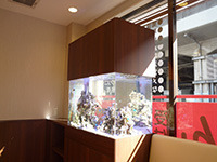フラワー薬局 草加氷川町店（調剤事務の求人）の写真4枚目：熱帯魚水槽が大人気です