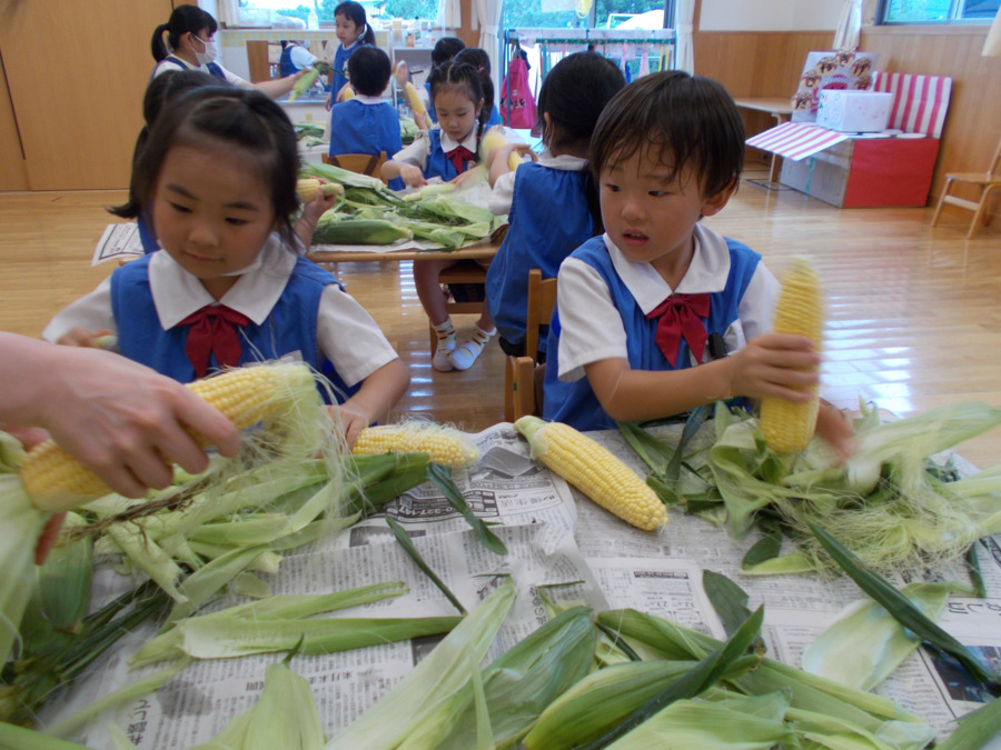 幼保連携型認定こども園 みどりの丘こども園（保育士の求人）の写真2枚目：一人ひとりをたいせつにしながら、社会性・自立心を育てます