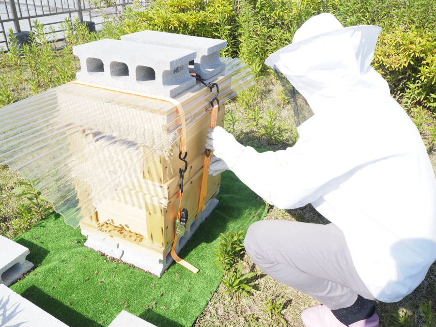 川口さくら病院(営業/管理部門/その他の求人)の写真: