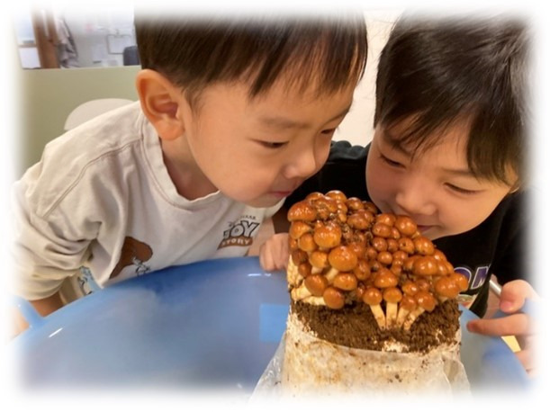 ほっぺるランド早稲田鶴巻町の写真3枚目：