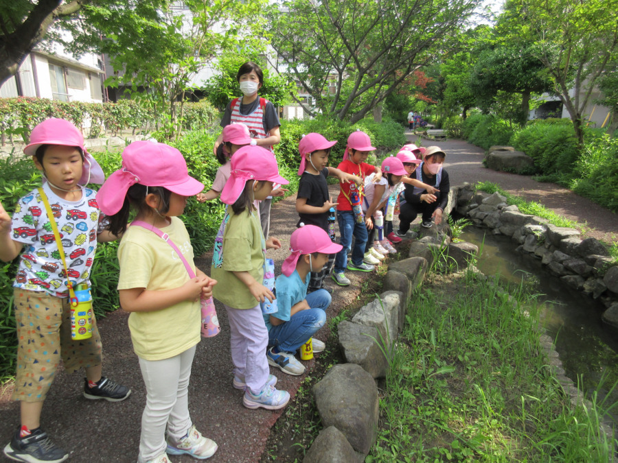 サクラナーサリー（保育補助の求人）の写真3枚目：
