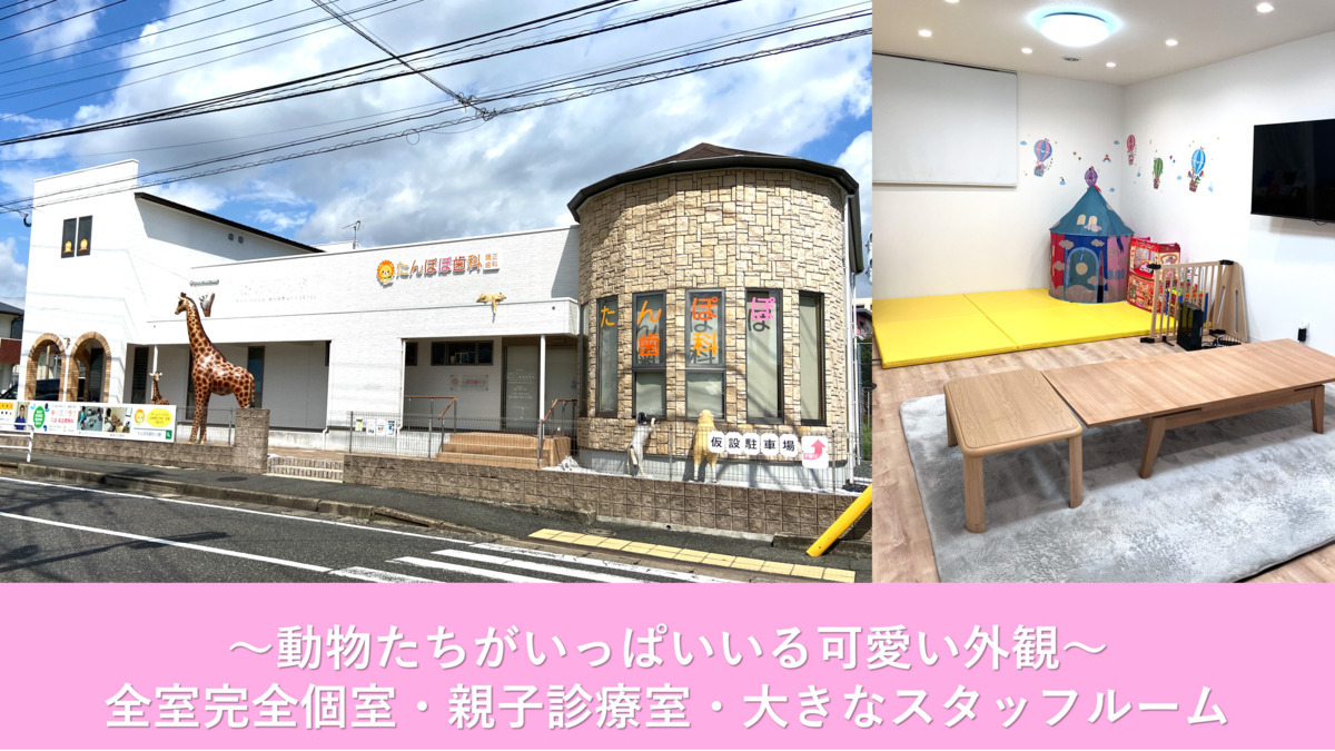 たんぽぽ歯科・矯正歯科（保育士の求人）の写真2枚目：